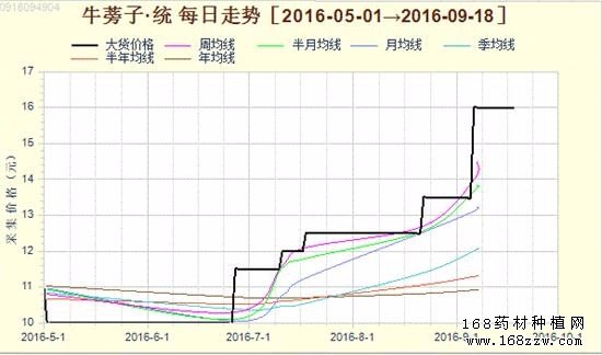 2016ţӼ۸飺ţӼ۸ǷѴ70%